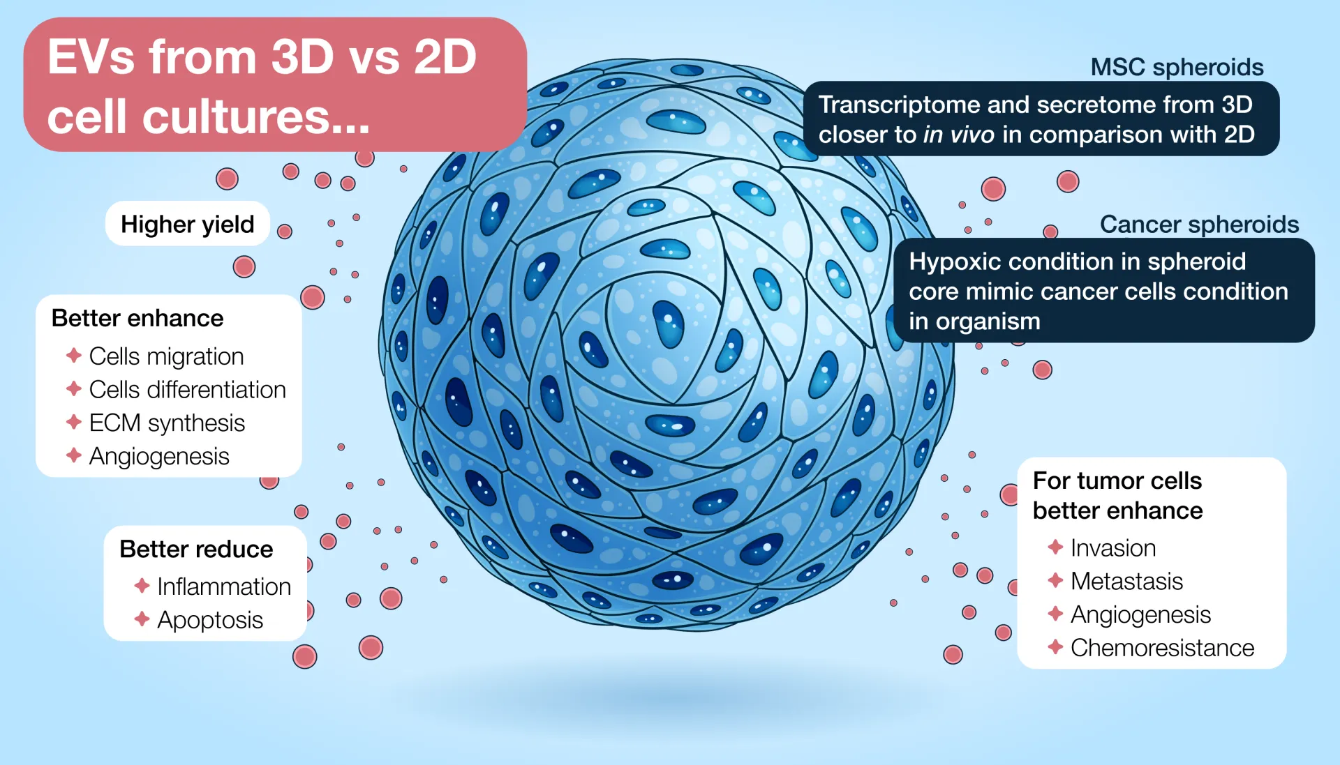 EVs from 3D vs 2D cell cultures
