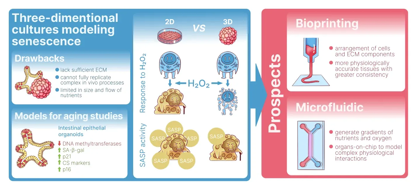 ECM-bound EVs and Matrix vesicles