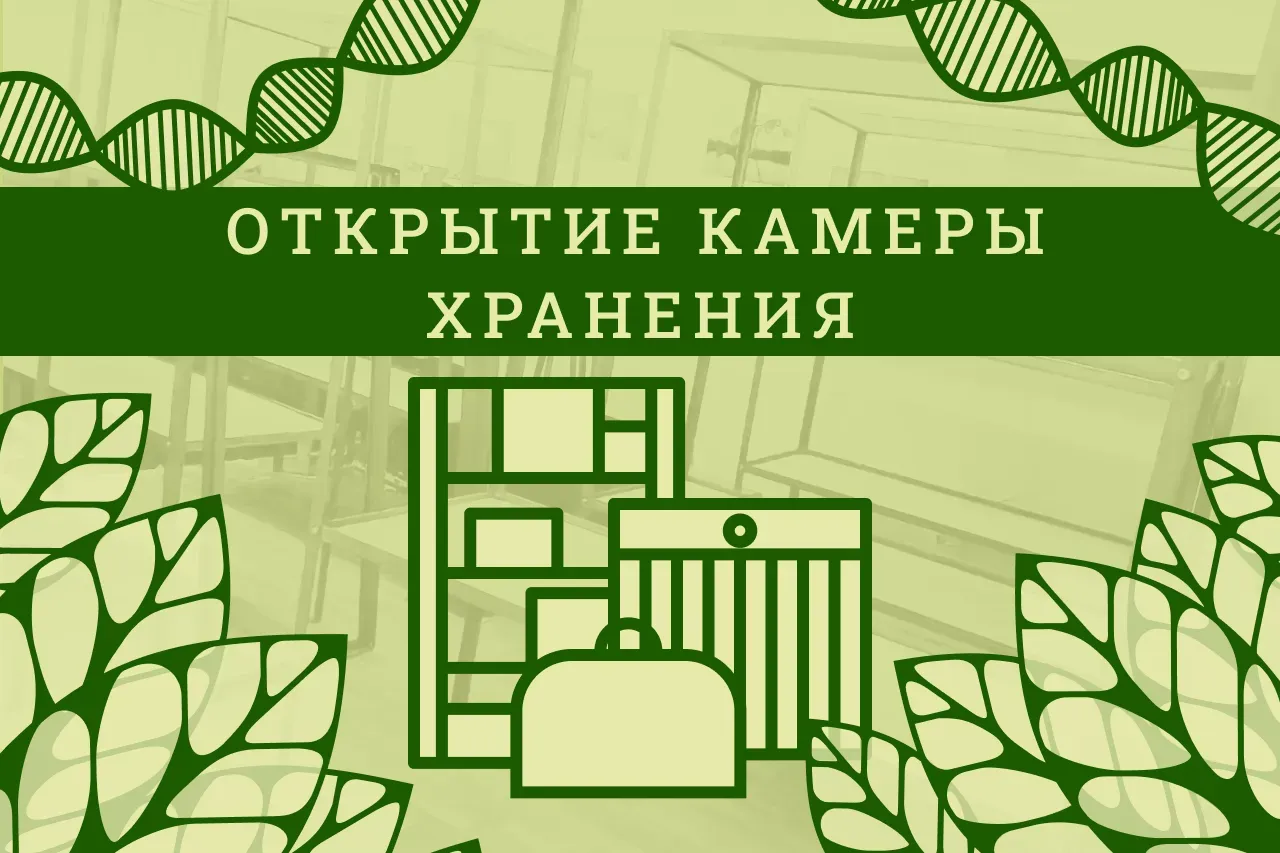 Объеявление об открытии камеры хранения